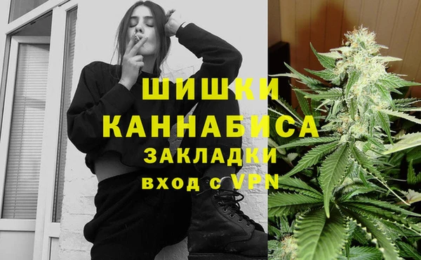 крисы Бронницы