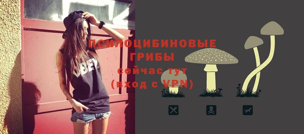 эйфоретик Сосновоборск