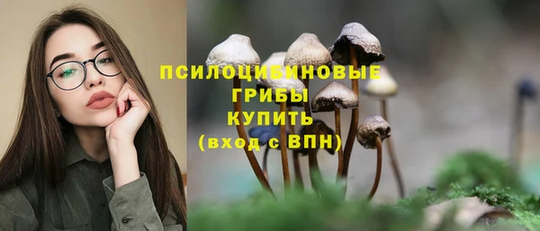 мяу мяу мука Богородицк