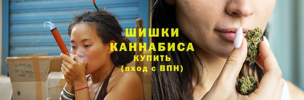крисы Бронницы